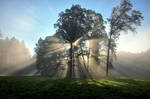 Morning full of lights II by tomsumartin