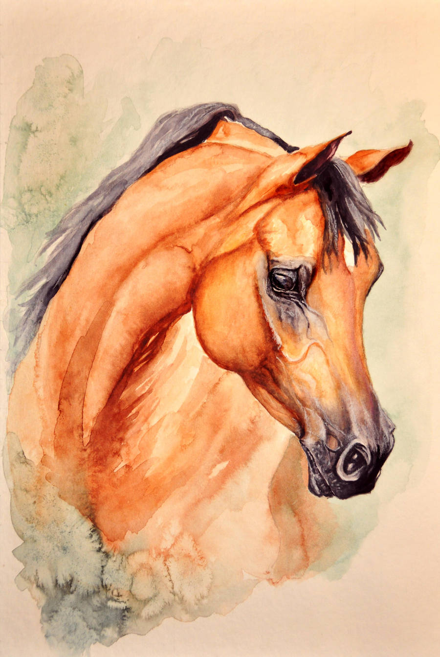 Arabian - watercolour by NutLu