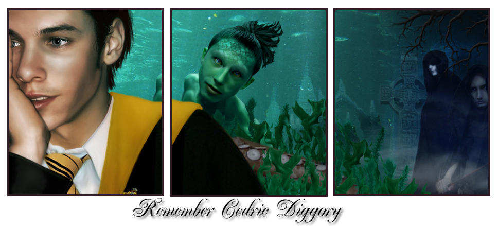 Remember Cedric Diggory by wycked