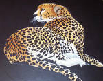 Cheetah by dizzy-indy