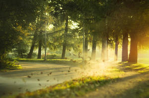 Autumn by AntonSerenity