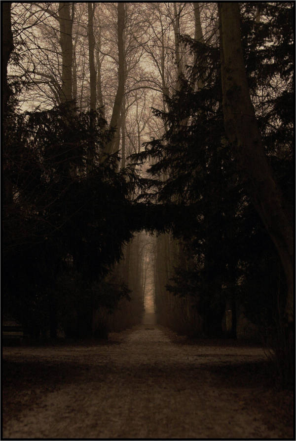 Archway by jo-i
