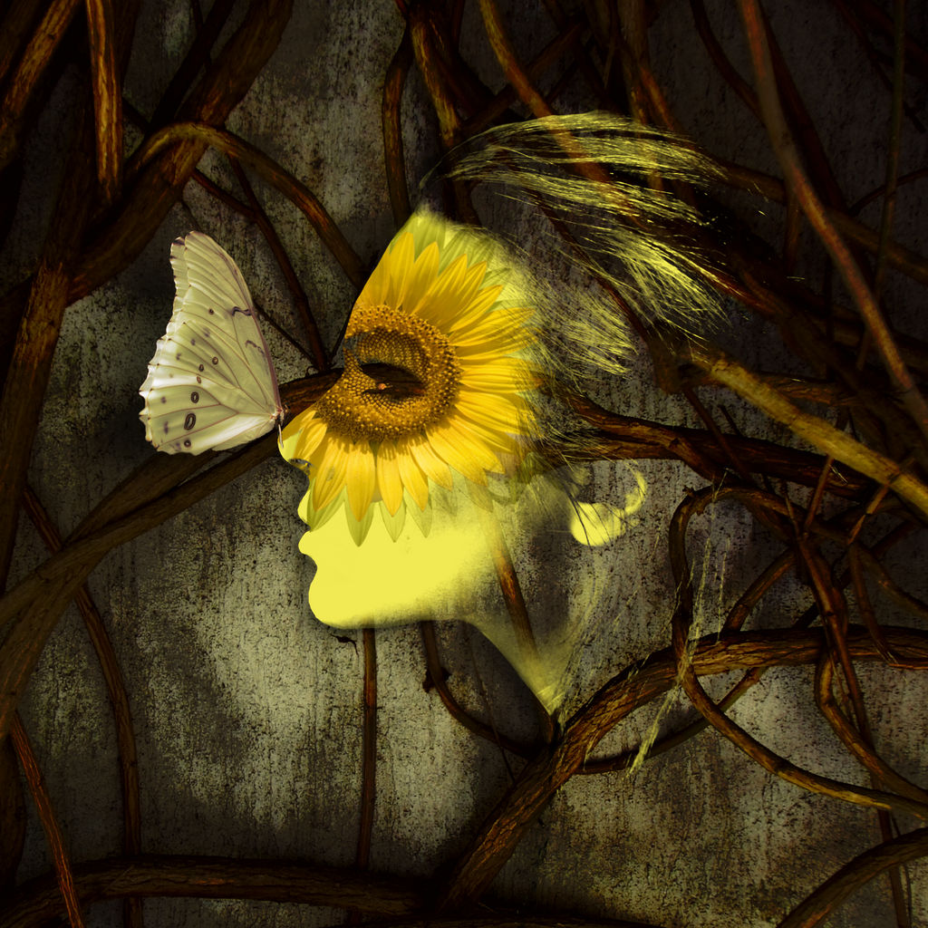 Lost Sunflower by L-inda