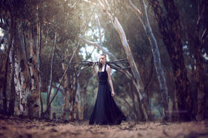 The Forests' Rose by EmilySoto