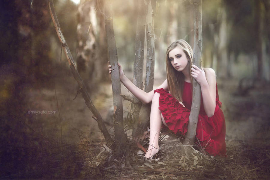 The Forests' Rose by EmilySoto