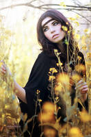 Fallen Mists by EmilySoto