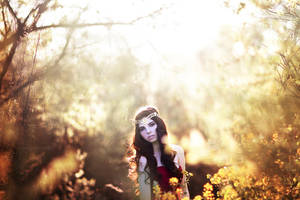 Fallen Mists by EmilySoto