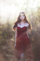 Fallen Mists by EmilySoto