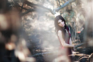 Fallen Mists by EmilySoto