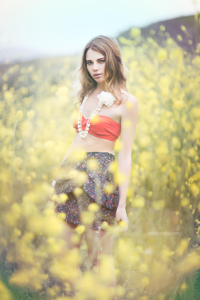 Vintage Sky by EmilySoto