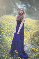 Silvery Thorns by EmilySoto