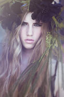 The Sea Goddess and the Raven by EmilySoto