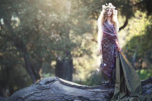 Elfin Forest by EmilySoto