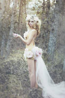 The Wild Rose Fairy by EmilySoto