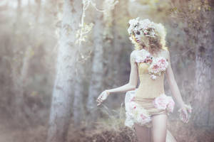 The Wild Rose Fairy by EmilySoto