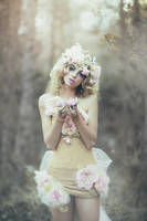 The Wild Rose Fairy by EmilySoto