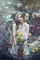 The Garden by EmilySoto