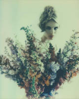 Eco Brides by EmilySoto