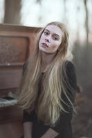 The Forests Song by EmilySoto