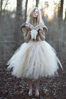 The Forests Song by EmilySoto