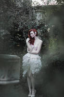 Abigail's Garden by EmilySoto