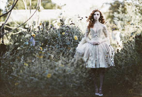 Abigail's Garden by EmilySoto