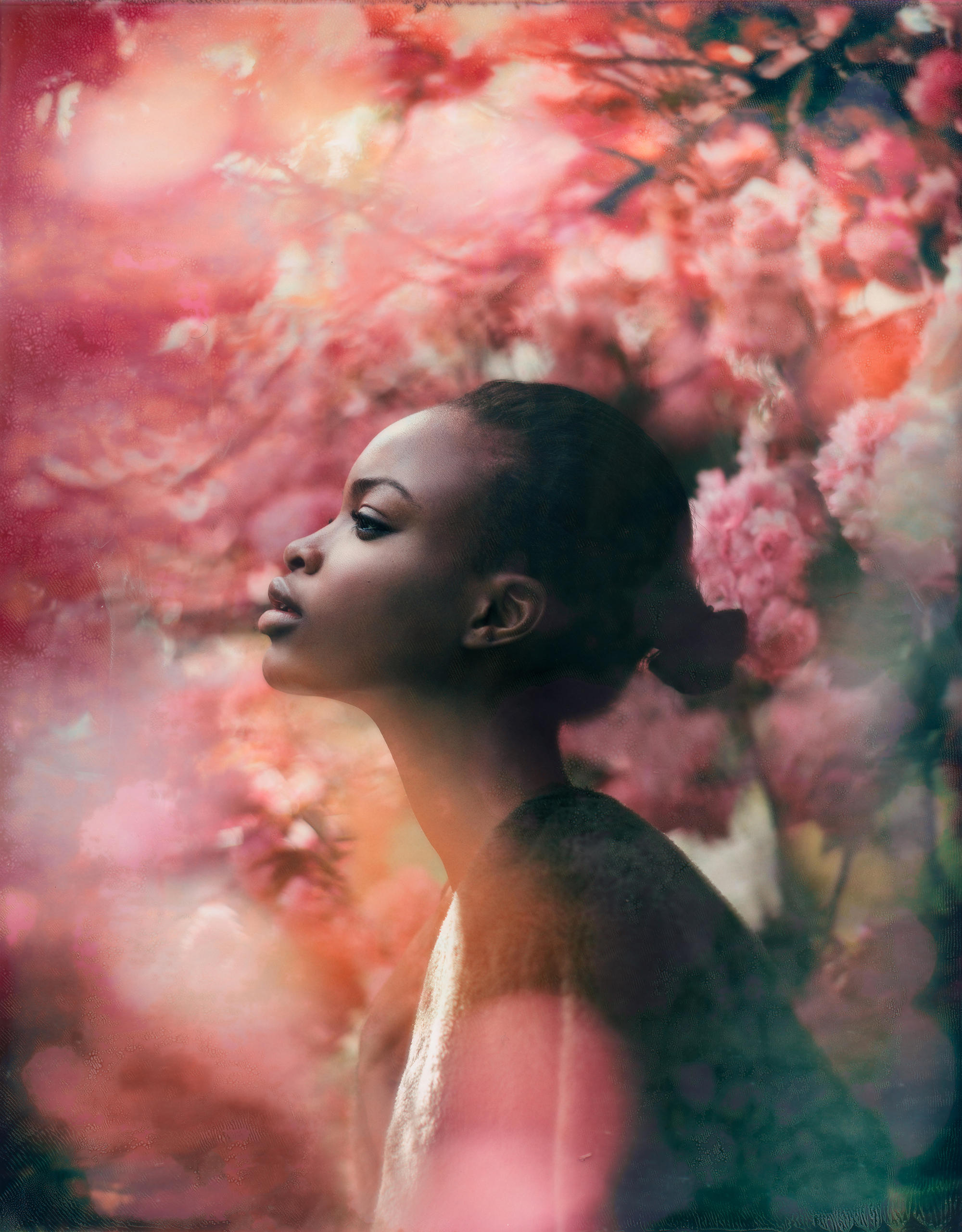 May Flowers by EmilySoto