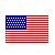 Flag of the USA