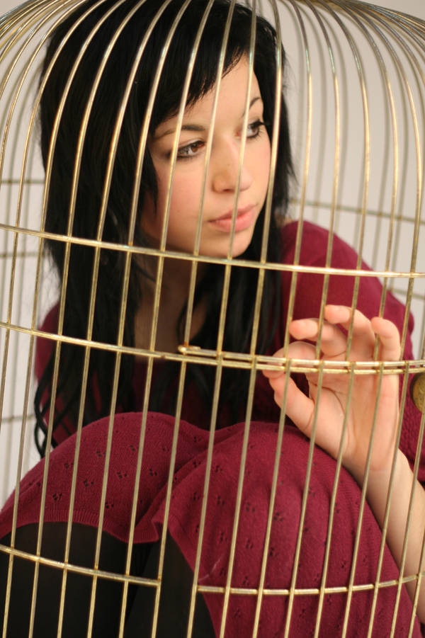 birdcage I by garphoto-stock