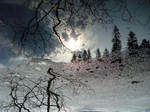 Deep shadows.. by Daireann