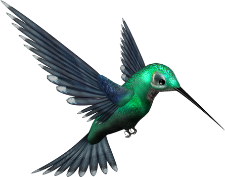 Green Humming Bird PNG by pixievamp-stock