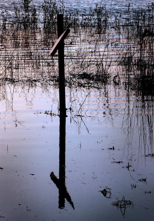 Cross Reflection by Philzang