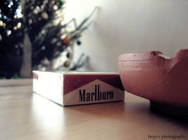 M a r l b o r o by xparalyzed