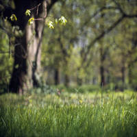 Breath by SebastienTabuteaud