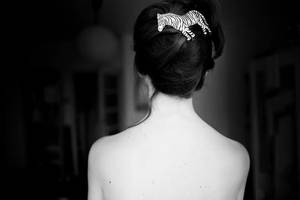 zebra obsession by Trepka