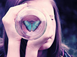 butterfly eye by paintedpoppy