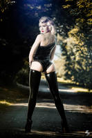 Roadblock by miss-mosh