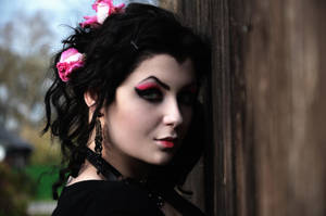 Roses are...pink by VickiVampiress