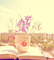 Sun Juice by Mithertiths