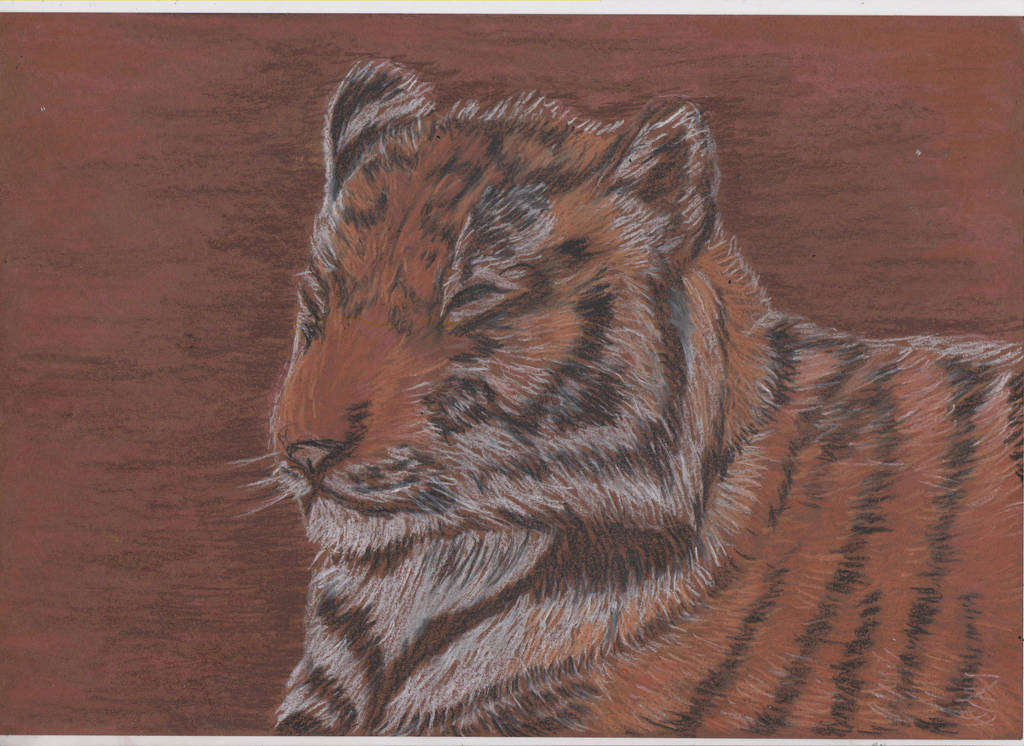 Tigers Nap by ArcticIceWolf