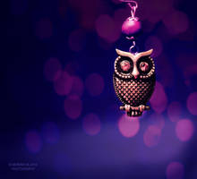 night-bird by moninyok