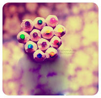 Life is Colouful by moninyok