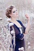 hazy shade of winter by morgenblind