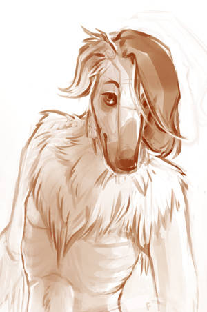 Arkady the Borzoi Dog by fralea Arkady the Borzoi Dog by fralea