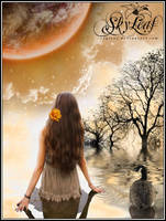 To The Moon And Back by skyleaf