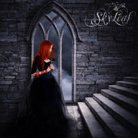 Black Rose by skyleaf