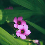 Together by cindywebbphotography
