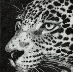 Jaguar on dots by Chipilina21