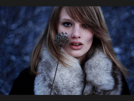 LARA by 6Artificial6