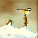 Great tit in the snow by WendyMitchell